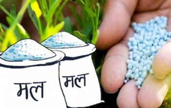 रासायनिक मल नपाउँदा किसान चिन्तित